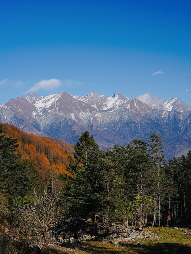 2天雅安之旅 驚艷你的朋友圈