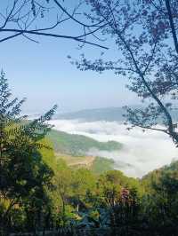 昆明-新平-臨滄7日遊 美到失眠超全攻略速碼
