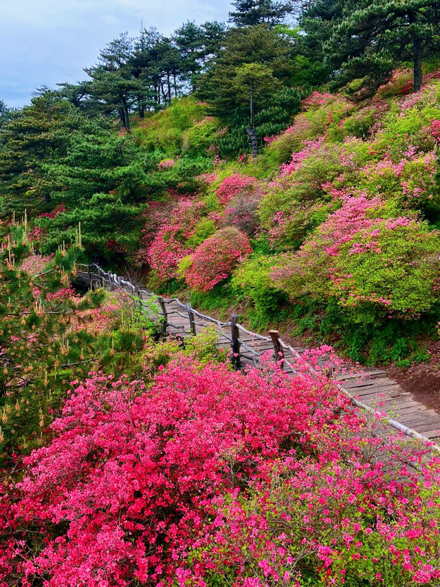 漫遊麻城，遇見湖北最美的山水畫卷，你準備好了嗎