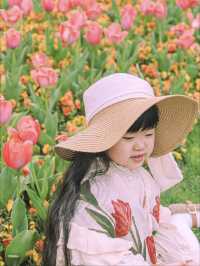 3月中旬不要錯過上海市區的這片鬱金香花海