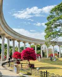 東湖公園純玩一天攻略來啦