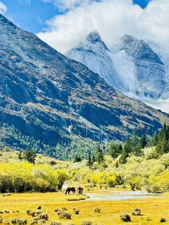 Daocheng Yading most beautiful visit