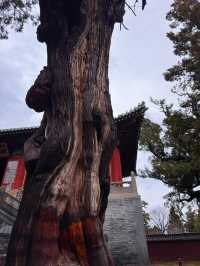 河南登封｜中嶽廟裡的神秘碑刻，你看過嗎？