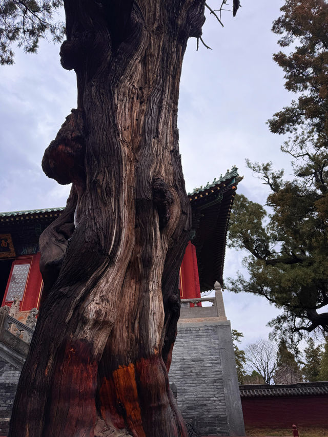 河南登封｜中嶽廟裡的神秘碑刻，你看過嗎？