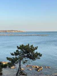 山東濰坊-青島-威海5天遊 老友出行必看攻略