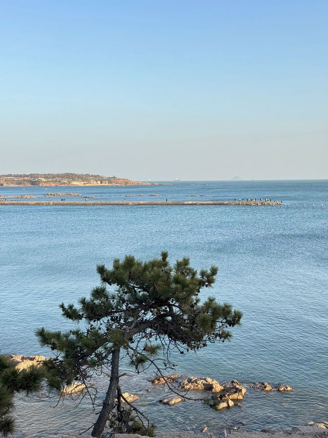 山東濰坊-青島-威海5天遊 老友出行必看攻略