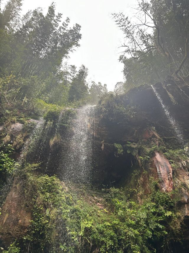 蜀南竹海：赴一場綠野仙蹤之約