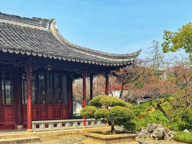 清代吾邑園林之首｜太倉南園