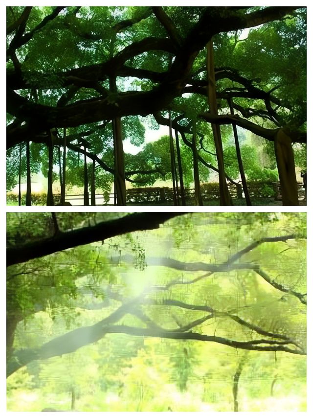 加爾各答：印度的文化之都