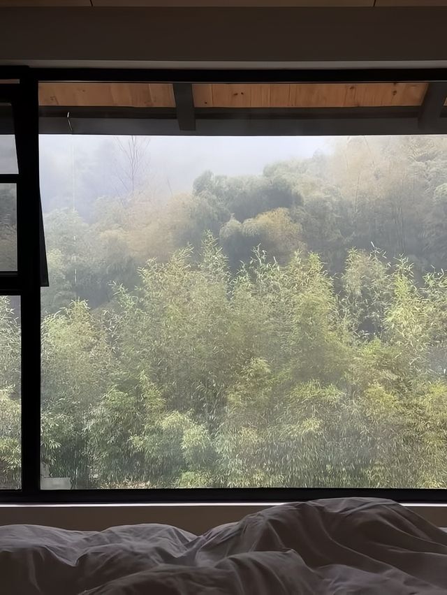 向野而生 •夏意 藏在紹興的staycation 天花板