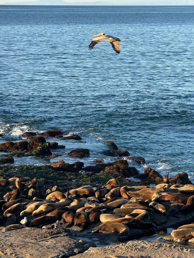 2-Day US Trip: A Foolproof Guide to Exploring America