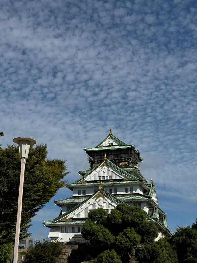 7日橫掃日本  跟我走吧你會愛上的