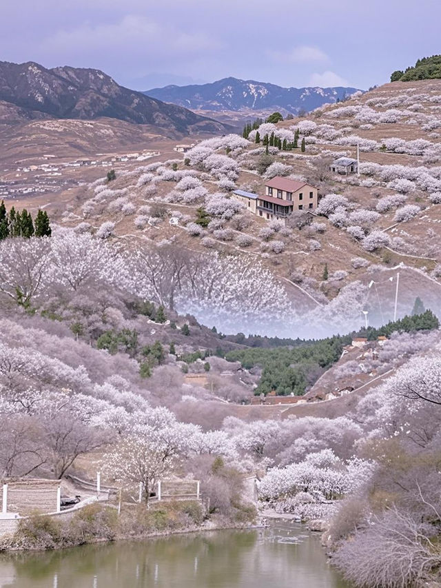 帶娃去青島被坑慘了？真實體驗後我要瘋狂安利！