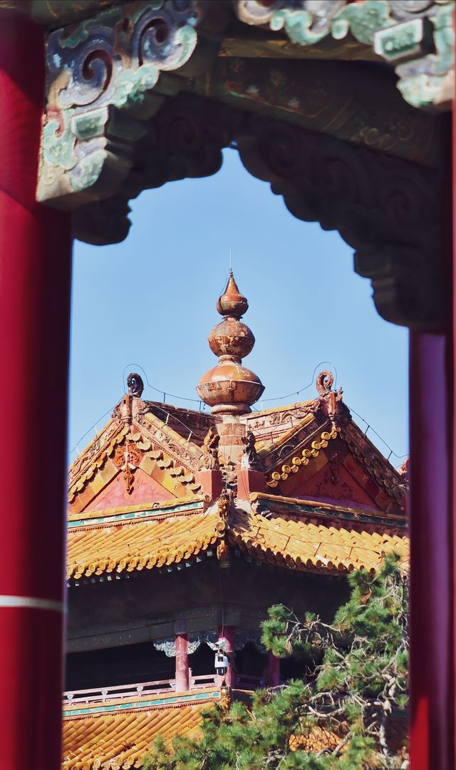 想你的風吹到了北陵公園