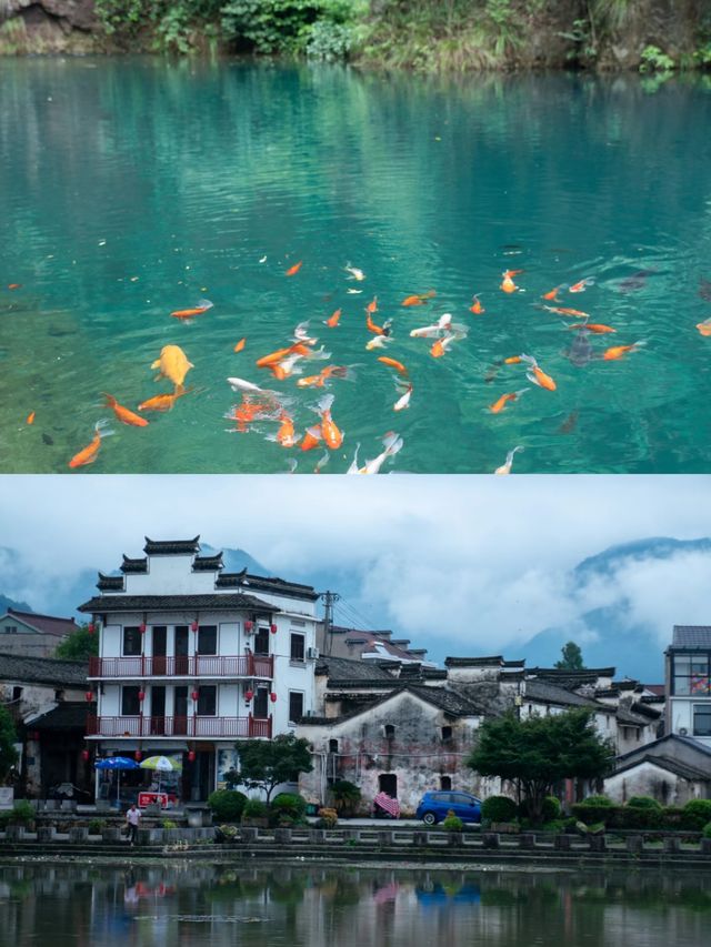 哼，你錯了，你以為杭州只有城市嗎？