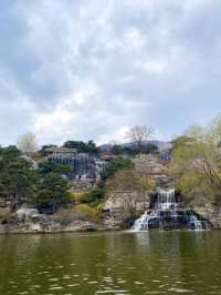 北京西山國家森林公園賞花超全攻略