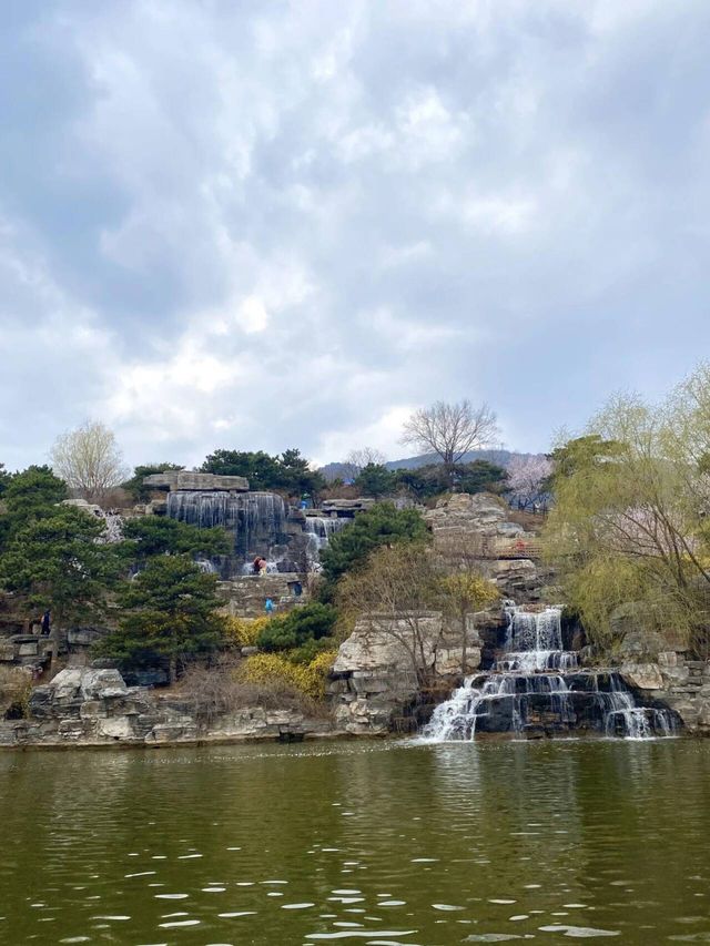 北京西山國家森林公園賞花超全攻略