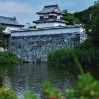 🌸福岡限定！一日玩轉樱花季攻略