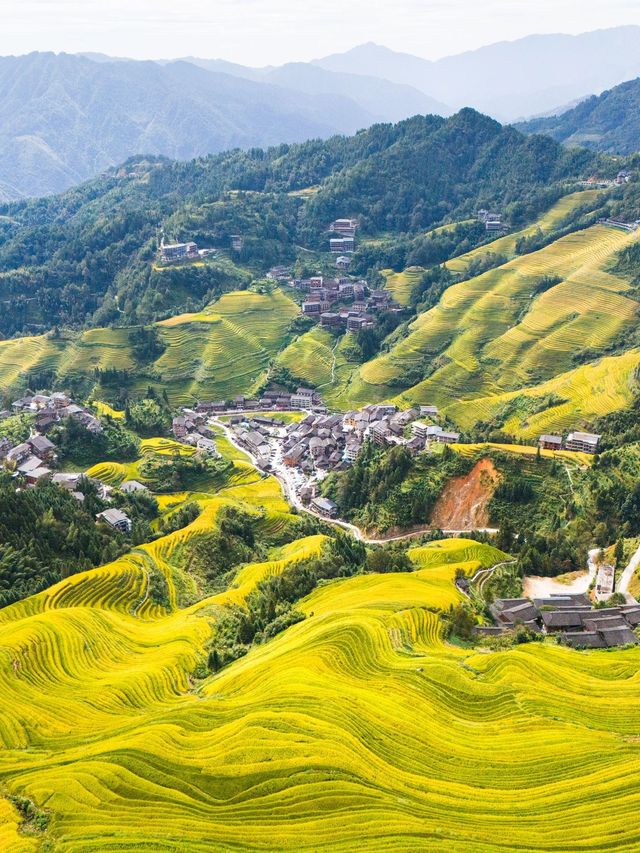 4日玩遍桂林 超詳細攻略來啦