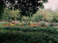 Romantic Spring in Charming Foshan: Public Parks as Shelters of Tranquility