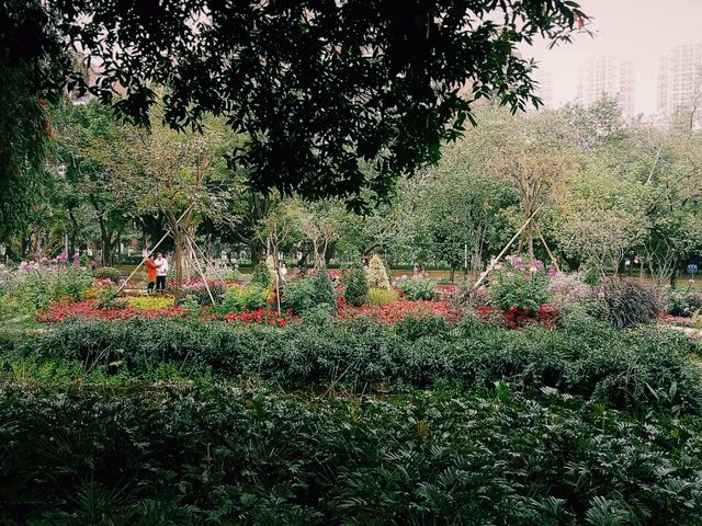 Romantic Spring in Charming Foshan: Public Parks as Shelters of Tranquility