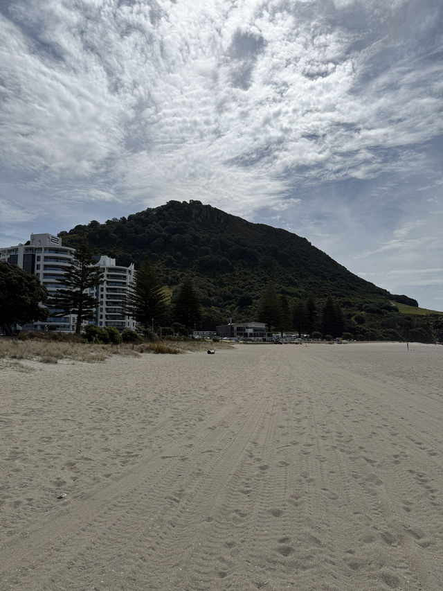 A Morning Walk Up The Mount, A Must Do In Tauranga NZ