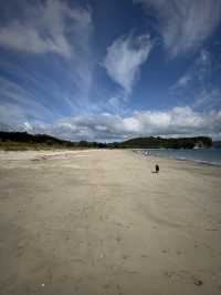 Heaven On Earth At The Coromandel, North Island NZ 