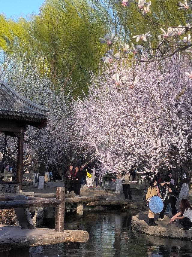 三里河公園！明年我一定會再來！