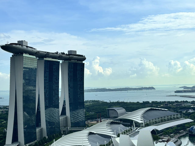新加坡麗思卡爾頓｜景觀贏晒 服務都算唔錯✨