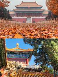 故宮博物院，這樣玩才開心