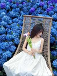 🌷珠海新貌 | 治愈系花海棧道，美翻啦🌸