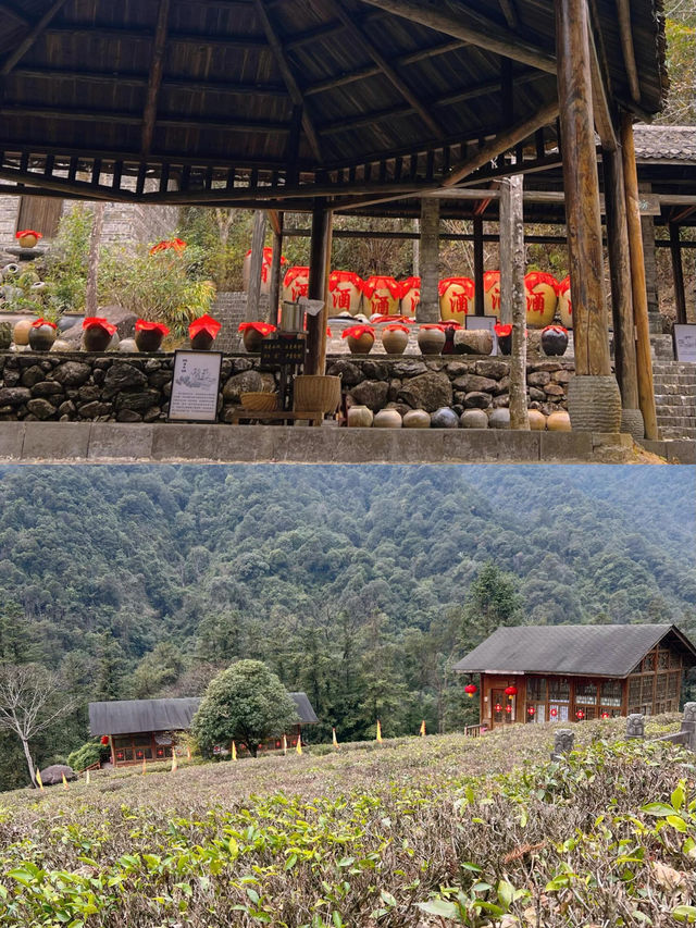 探索賀州姑婆山：邂逅一趟自然與詩意的旅程