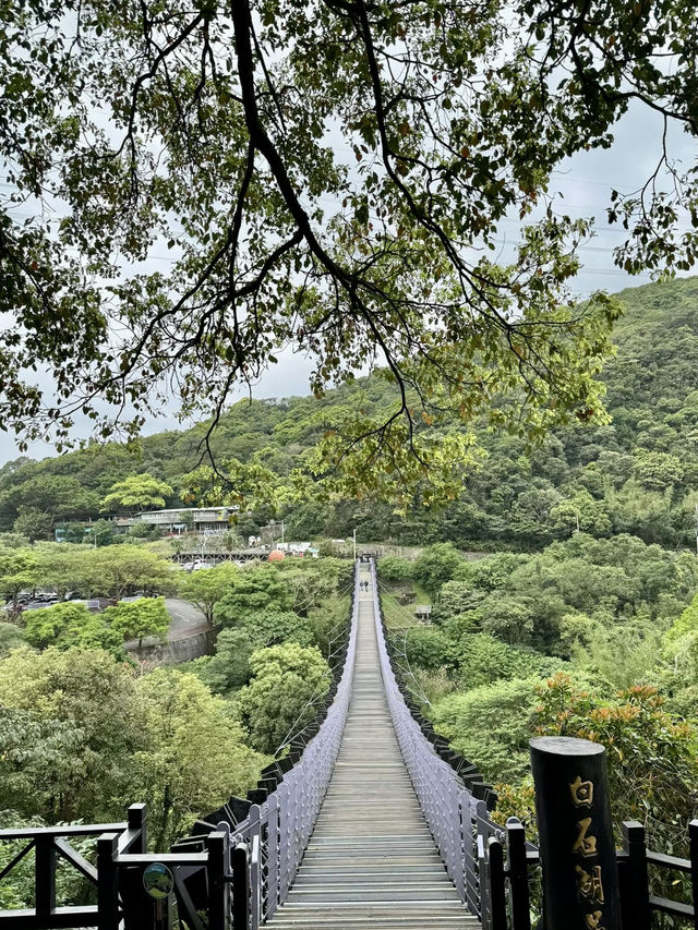 湖光水色：漫步大湖的靜謐詩意