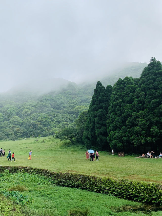 玉林大容山森林公園：霧中仙境之約