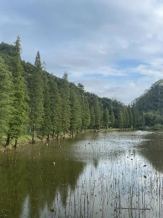 陽春綠道散步攻略｜城市裡的一抹綠意🌿🚶‍♂️🚴‍♀️