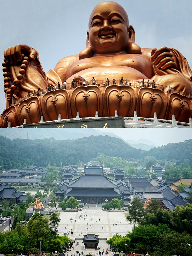 三月總要來一趟江浙滬，感受春和景明