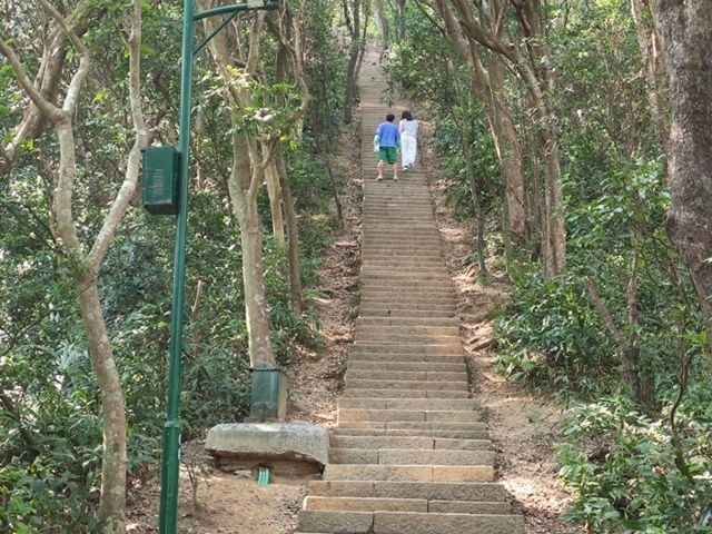 梧桐山：深圳的天然氧吧與登高望遠的絕佳選擇