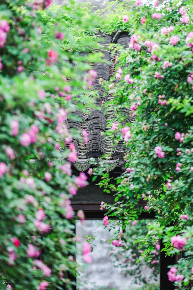 四月藝圃春色美