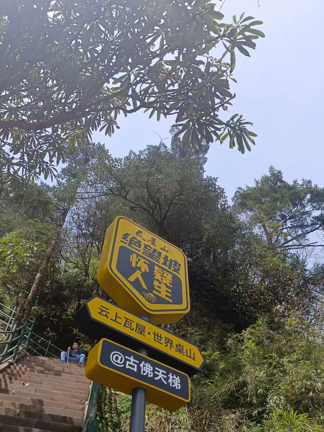 四川省眉山市著名景点：瓦屋山風景區，適合觀光旅遊、度假休閒等！