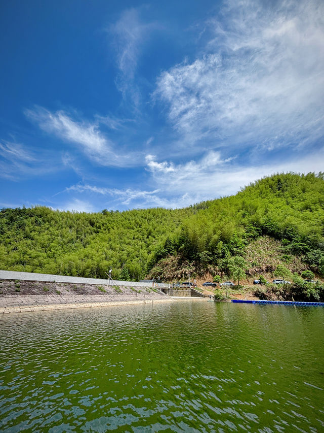 尋蹤山谷水庫：初夏的綠意與波光