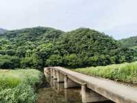 縉雲城市綠道，集環保、休閒、運動於一體的綠色廊道