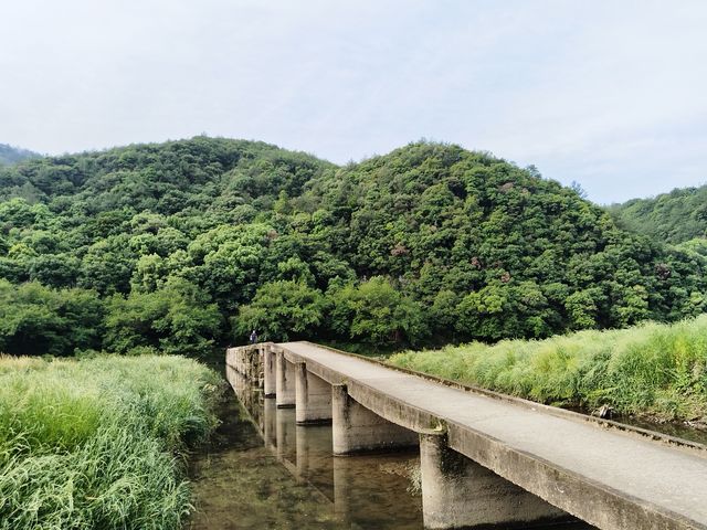 縉雲城市綠道，集環保、休閒、運動於一體的綠色廊道