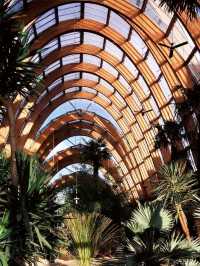 Sheffield Winter Gardens is so Dreamy❤️‍🔥🥰