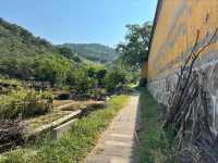 西山島私藏徒步路線｜闖入綠野仙蹤嘅治癒週末