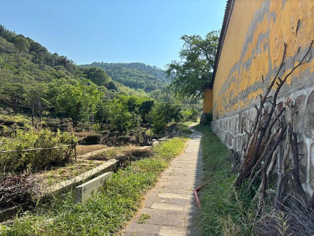 西山島私藏徒步路線｜闖入綠野仙蹤嘅治癒週末