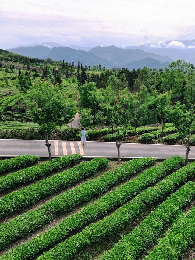 雲端仙居卡莎莎 | 隱於雲海，棲於山靈