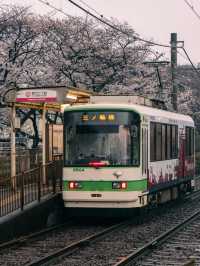 東京 | 搭乘昭和風情的櫻花電車🌸