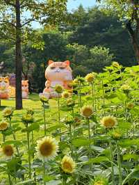 🌻廣州雲台花園 | 邂逅向日葵花海