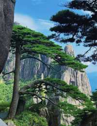 黃山宏村3日2夜咁樣玩，唔會中伏