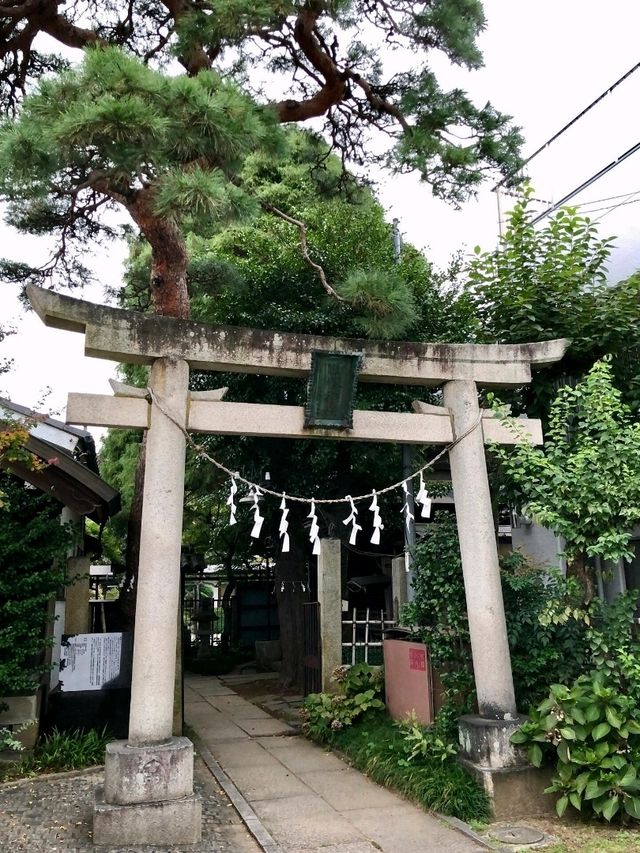 東京出發！川越小江戶交通攻略 
